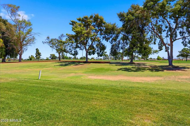 15629 N CAMEO Drive, Sun City, AZ 85351