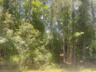 Lot 10 Courtland Dr., Hattiesburg, MS 39402