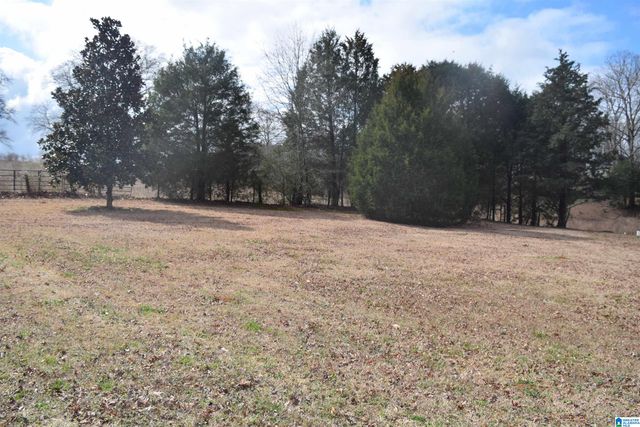 22213 SANDRA LANE, Mccalla, AL 35111