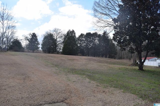 22213 SANDRA LANE, Mccalla, AL 35111