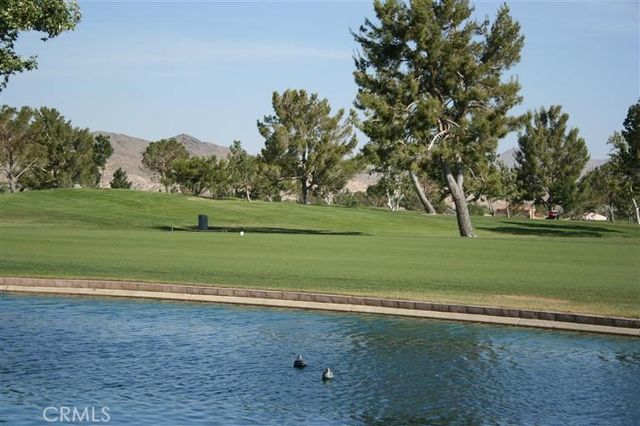 26701 Blue Water Road, Helendale, CA 92342