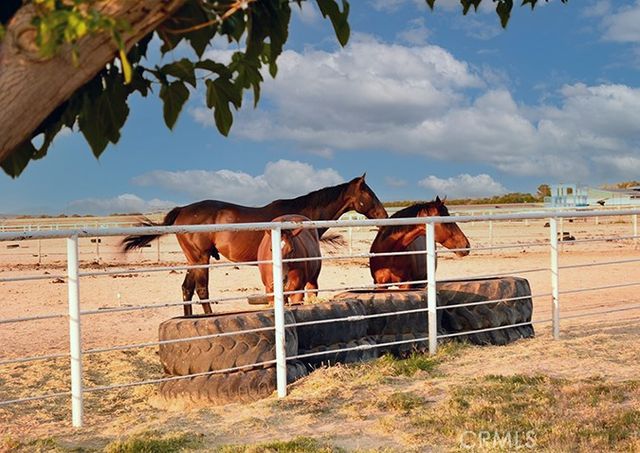 26701 Blue Water Road, Helendale, CA 92342