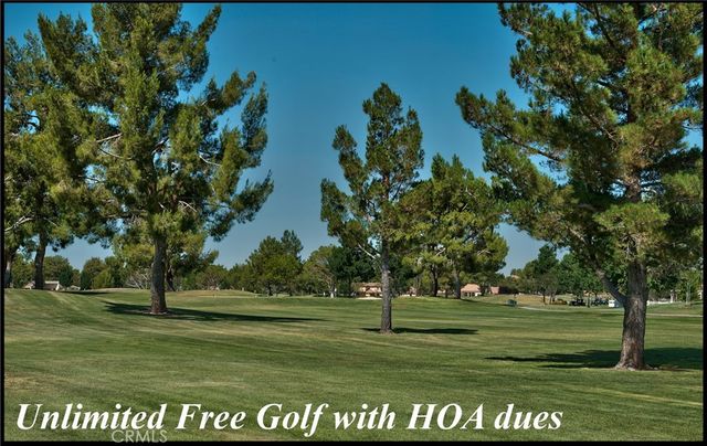 26701 Blue Water Road, Helendale, CA 92342