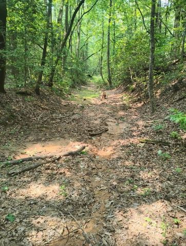 11.12 AC Lowman Road, Ellijay, GA 30536