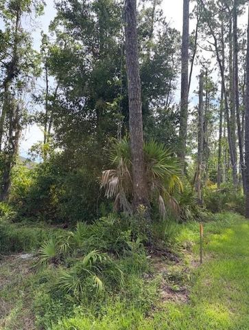 5TH AVENUE, Deland, FL 32724