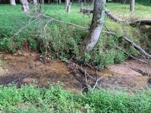 LT 3505R Castle Court, Ellijay, GA 30540