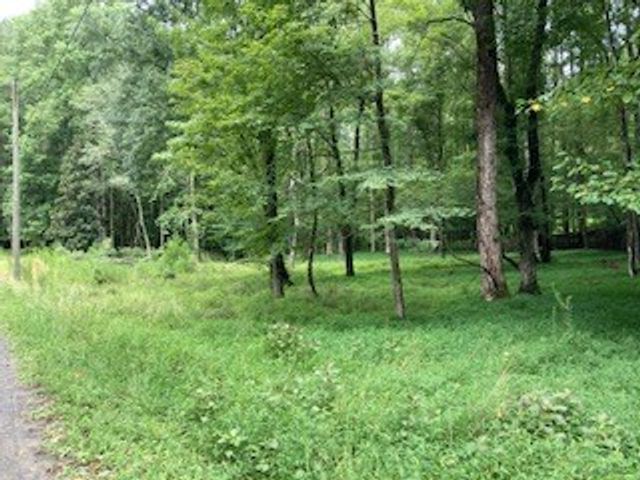 LT 3505R Castle Court, Ellijay, GA 30540