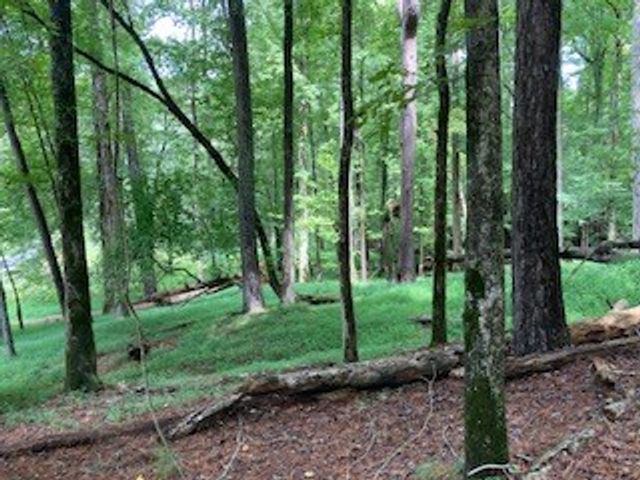 LT 3505R Castle Court, Ellijay, GA 30540