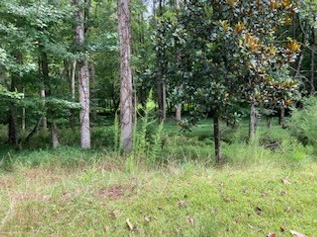 LT 3505R Castle Court, Ellijay, GA 30540