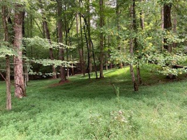 LT 3505R Castle Court, Ellijay, GA 30540