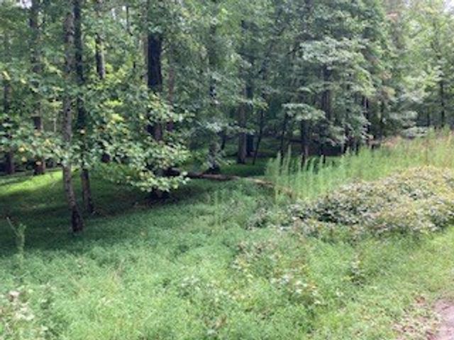 LT 3505R Castle Court, Ellijay, GA 30540