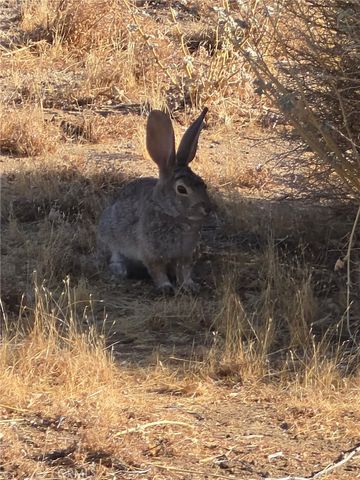 55685 Navajo, Yucca Valley, CA 92284
