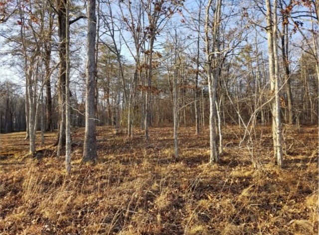 47 Hemlock Lane, Spencer, TN 38585