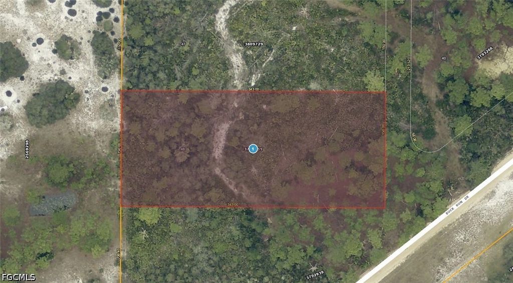 28-17-28-0004-000-03100 Buck Run DR, Paisley, FL 32767