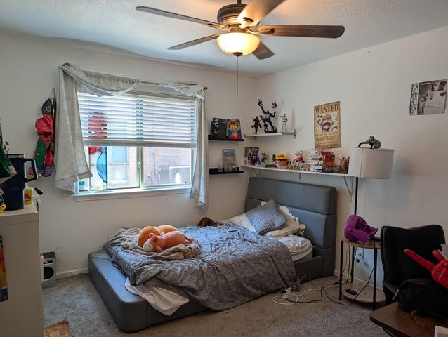 22615 Coriander Drive, Katy, TX 77450