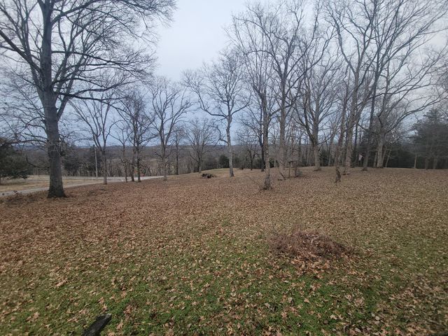 171 Trinity Hill Rd, Pulaski, TN 38478