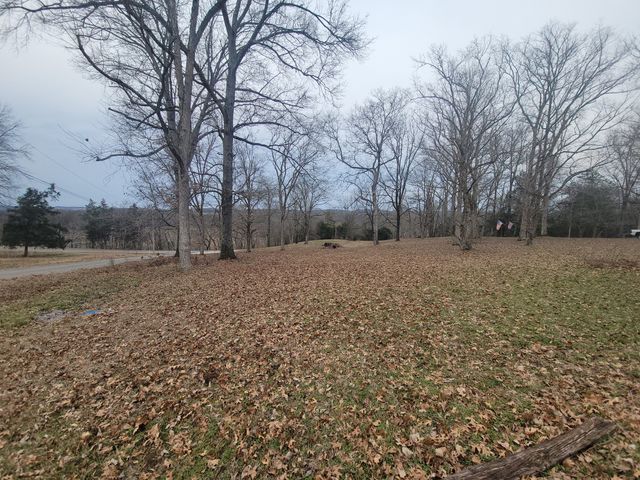 171 Trinity Hill Rd, Pulaski, TN 38478