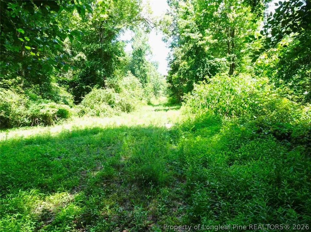 000 Gilbert Road, Eastover, NC 28312 — photo 2