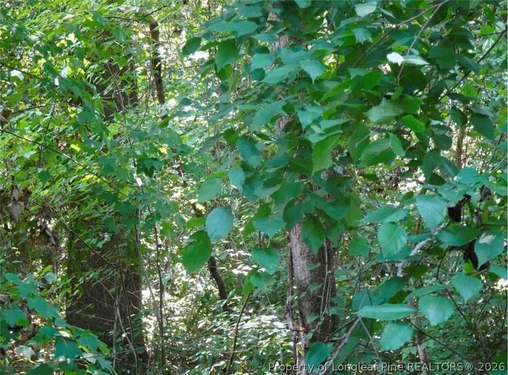 000 Gilbert Road, Eastover, NC 28312 — photo 3