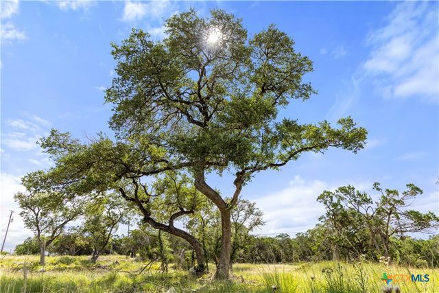 2219 Hiline Drive, Bulverde, TX 78163