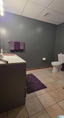 442 COUNTY ROAD 4807, Lineville, AL 36266