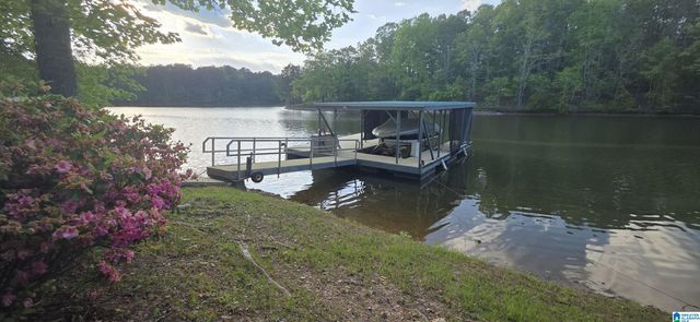 442 COUNTY ROAD 4807, Lineville, AL 36266
