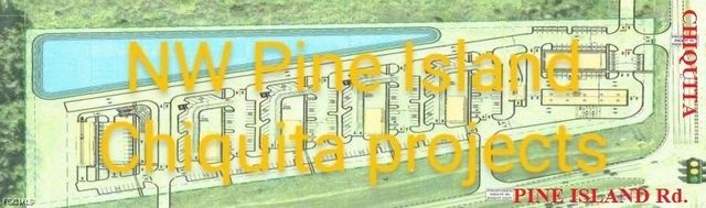 919 Chiquita BLVD S, Cape Coral, FL 33991