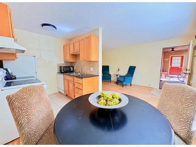 3303 Madison Ave T209, Boulder, CO 80303