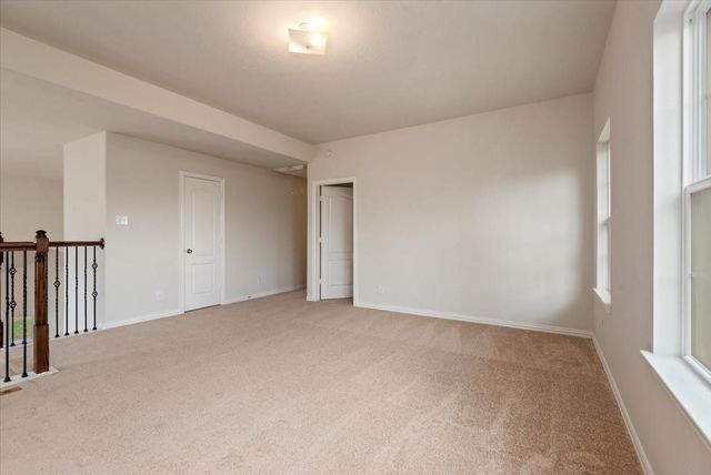 16123 Laura Beth Drive, Hockley, TX 77447