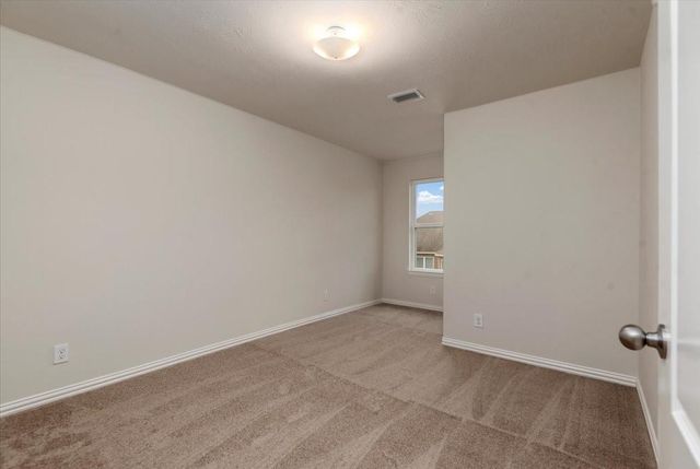 16123 Laura Beth Drive, Hockley, TX 77447