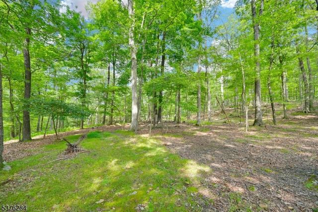 51 Paulinskill Lake Rd, Fredon Twp., NJ 07860