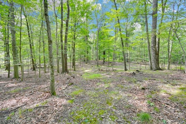 51 Paulinskill Lake Rd, Fredon Twp., NJ 07860