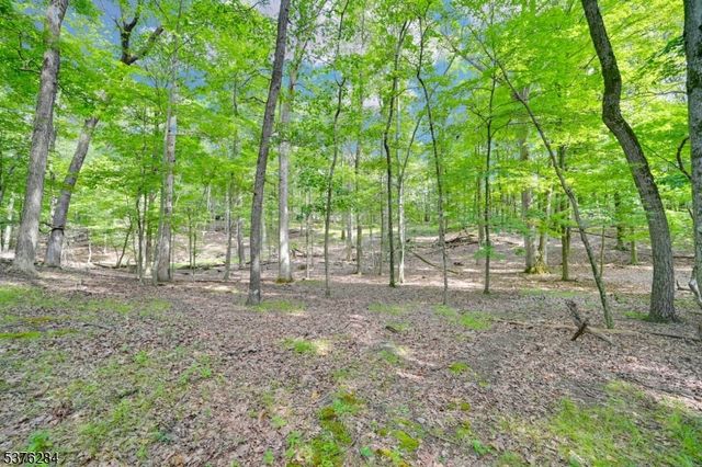 51 Paulinskill Lake Rd, Fredon Twp., NJ 07860