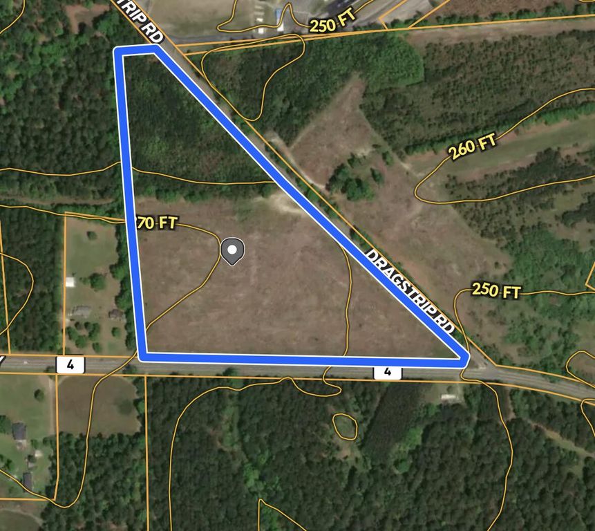Image 1 of property listing at 000 Neeses Highway 0113-14-01-006, Orangeburg, SC 29115