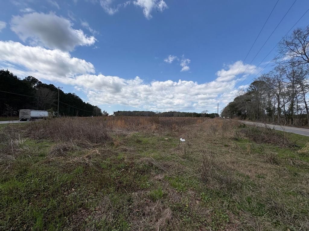 Image 4 of property listing at 000 Neeses Highway 0113-14-01-006, Orangeburg, SC 29115