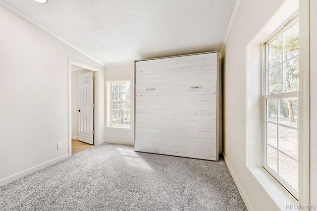 580 Forest Drive, Bailey, CO 80421