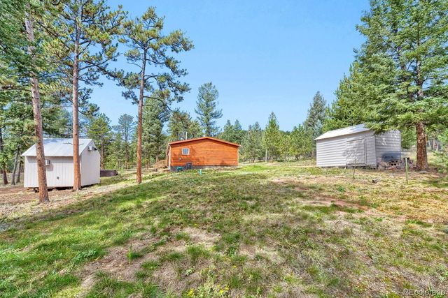 580 Forest Drive, Bailey, CO 80421