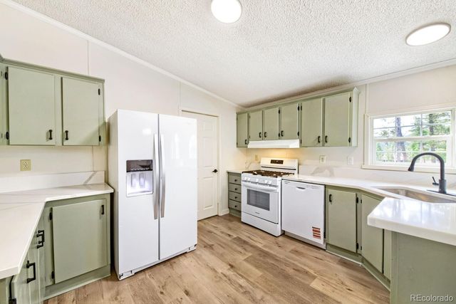 580 Forest Drive, Bailey, CO 80421
