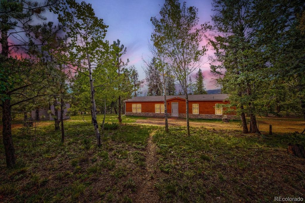 580 Forest Drive, Bailey, CO 80421