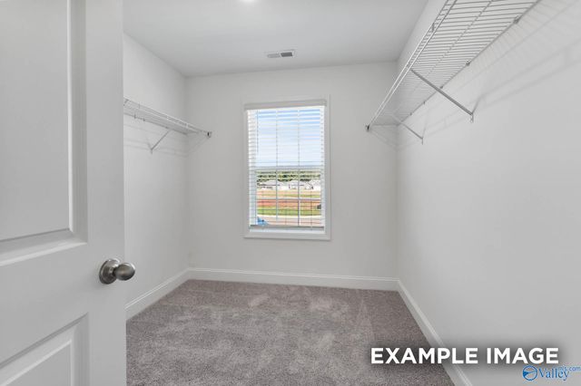 16746 Demi Drive, Athens, AL 35613