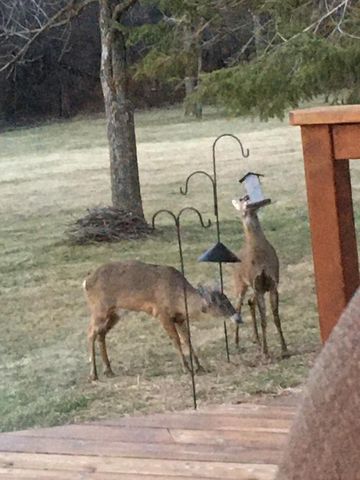 6980 Horizon DRIVE, Greendale, WI 53129