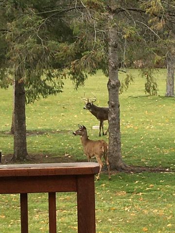 6980 Horizon DRIVE, Greendale, WI 53129