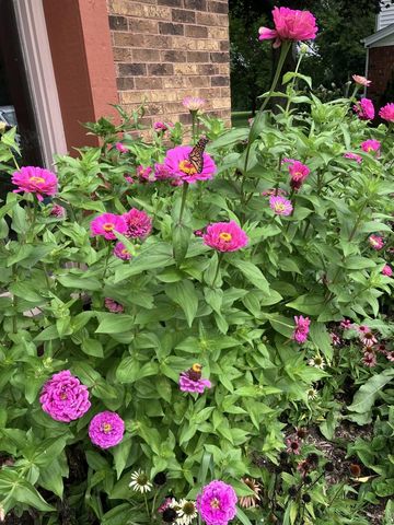 6980 Horizon DRIVE, Greendale, WI 53129