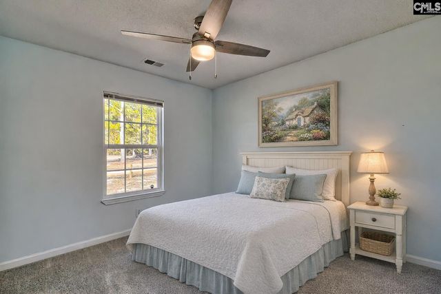 512 Old Bush River Road, Chapin, SC 29036