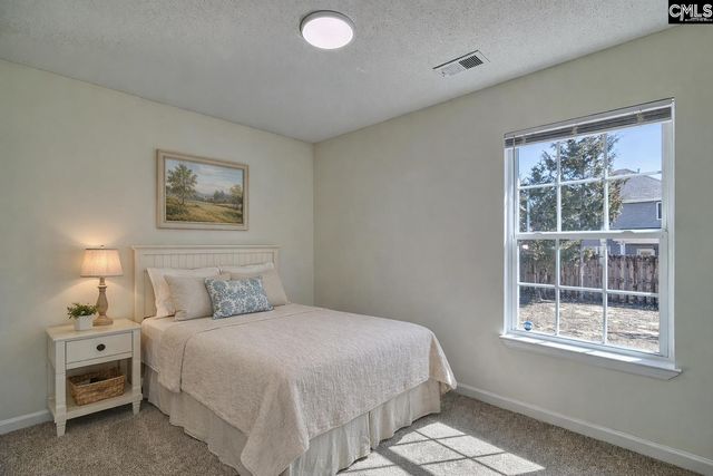 512 Old Bush River Road, Chapin, SC 29036