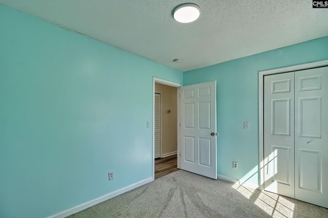 512 Old Bush River Road, Chapin, SC 29036