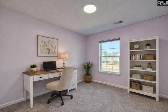 512 Old Bush River Road, Chapin, SC 29036