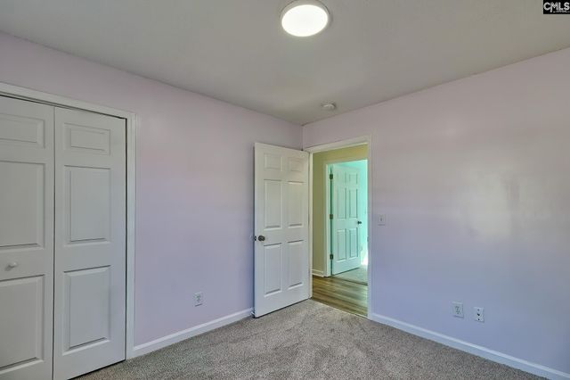 512 Old Bush River Road, Chapin, SC 29036