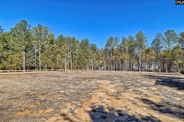 512 Old Bush River Road, Chapin, SC 29036