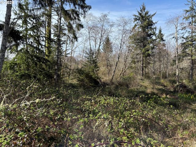 Spruce Dr, Seaside, OR 97138